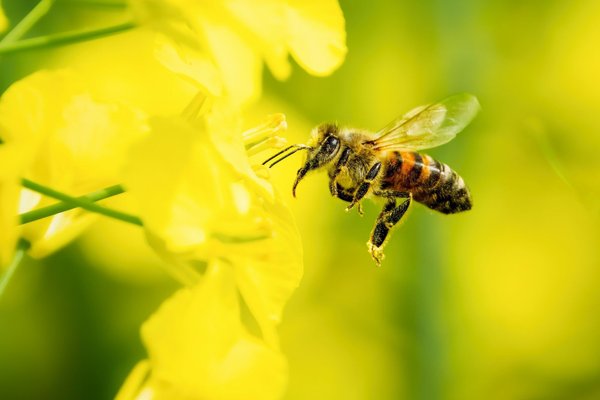 Optimisez votre bien-être avec ces astuces santé en ligne